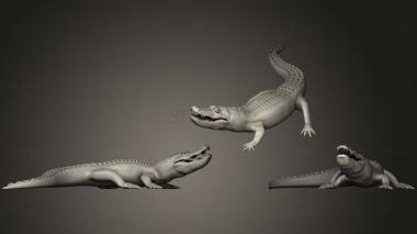 3D модель Аллигатор (STL)